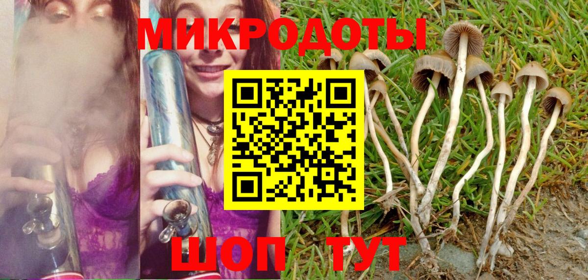 Дзержинский  Галлюциногенные грибы мицелий  Вход с VPN 