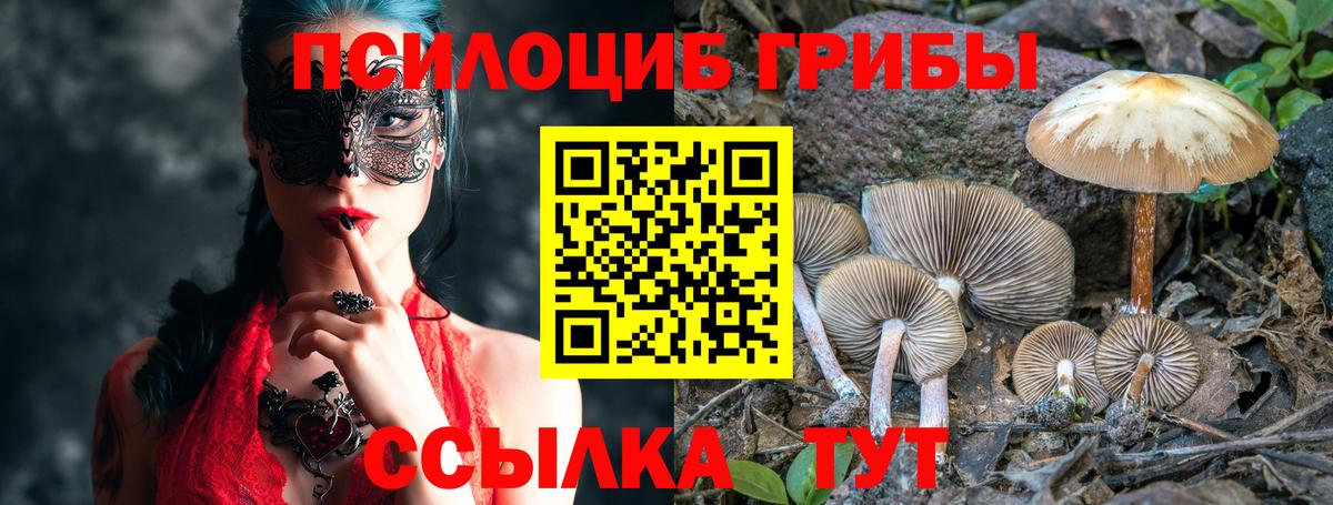 Псилоцибиновые грибы мицелий Дзержинский